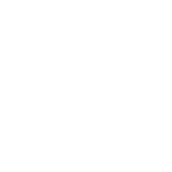 HEAD VERSION LIMITED